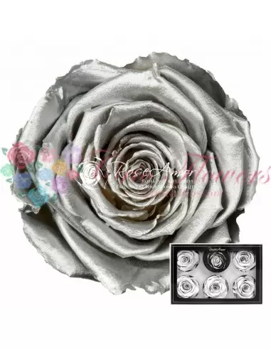 Trandafiri Criogenati Argintiu XLSilver
