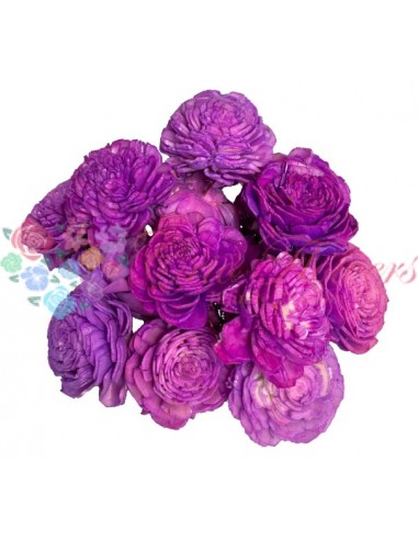 Purple Ming Flowers Heads