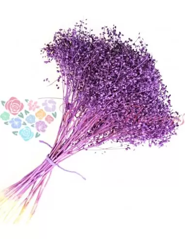 Intense Purple Dry Broom