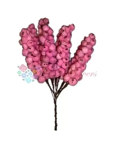 Bunches Of Pink Ming Grapes