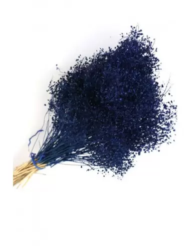 Petrol Blue Broom