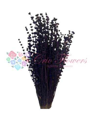 Purple Indigo Dry Lavender