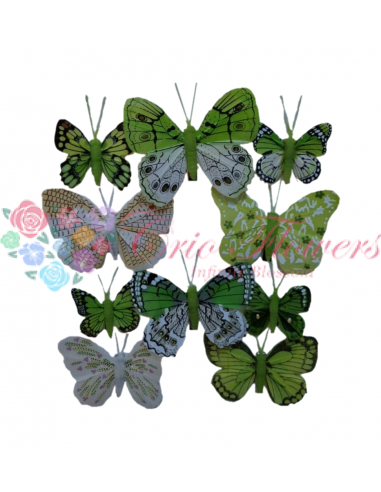 Green Butterfly Clips 5-8cm