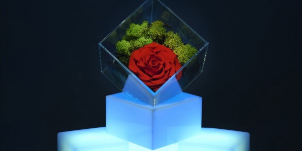 Why are roses cryogenic the perfect gift?